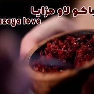یک بکس تنباکولاو