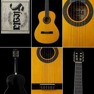 گیتارFiesta FST-200N