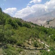 400 متر زمین باغی نونل