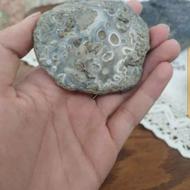 فروش شهاب سنگ مریخی