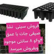 سینی نشا صیفی جات گوجه خیار توت فرنگی و...
