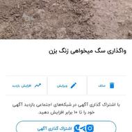 واگزاری میشود