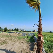 زمین شهرکی اقساطی در مازندران بدون واسطه خرید کن