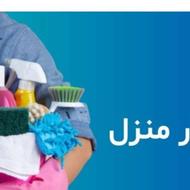 خدمه منزل کارگر خونه آقا هستم