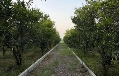 فروش زمین مسکونی 5700 متر در مذکوره