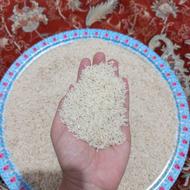 برنج طارم دم سیاه.