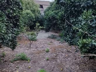 490 متر زمین باغی تجاری مسکونی