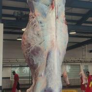 خریدار گاو و گوسفند هسم سرترازو پول نقد میدم کشتاری
