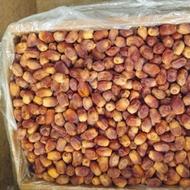 خرما زاهدی ( خشک )