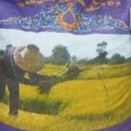 برنج هندی(تحویل درب منزل) خاطره،محسن،جی تی سی،بندر نو و....