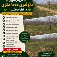 1000 متر باغ ثمری،واقع در منطقه قره چمن