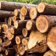 خریدار انواع چوب باغی با پول نقد و قیمت روز
