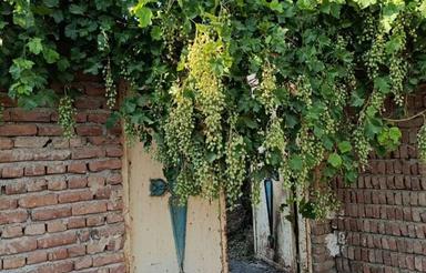 فروش خانه ملک شصی