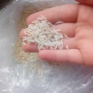برنج طارم هاشمی