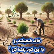 کودهای کاملا ارگانیک،جایگزین 100 درصد کودهای شیمیایی/حیوانی