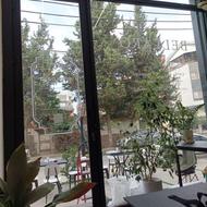 کمک اشپز و کمک اشپزخانه
