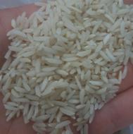 برنج طارم هاشمی