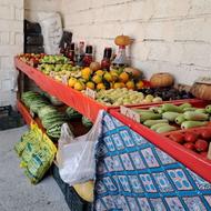 میز میوه و تربار چوب نراد سالم بدون شکستگی