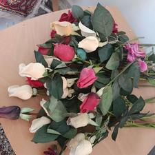 گل های رز سفید وقرمز