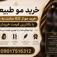 خرید و فروش مو