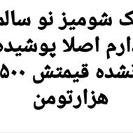 شومیز زنانه نو اصلااستفاده نشده 500 هزارتومن