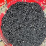 سیاه دانه بوجاری شده