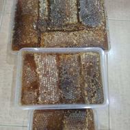 عسل گون آویشن