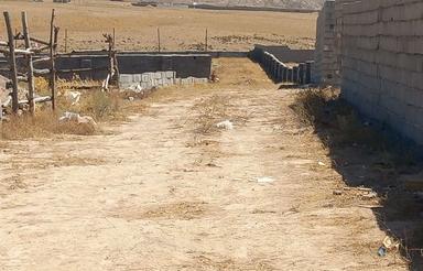 زمین از دم قسطی