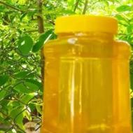 عسل طبیعی بشرط تست