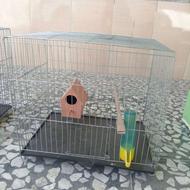 قفس عروس هلندی