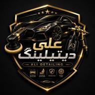 خدمات پولیش حرفهای