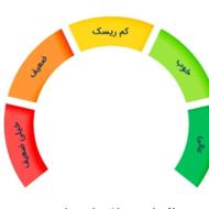 رتبه B2 چکدار ضامن میشم