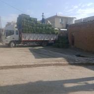 یونجه پرس خشک