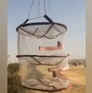 تور سبزی و میوه خشکن