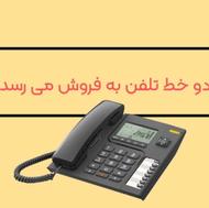 دو خط تلفن رند و سریالی به فروش می رسد