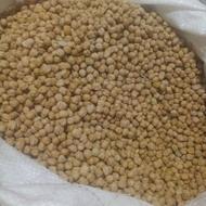 نخود فرنگی کرمانشاهی