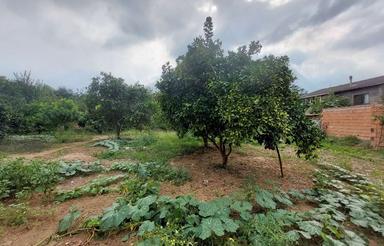فروش زمین مسکونی 840 متر در واسکس