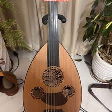 عود حرفه ای موسوی