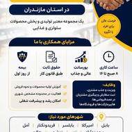 بازاریاب برای شهرستان محمود اباد و نور