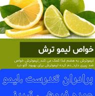 لیموترش جهرم ،شیراز ، تبریز ، برادران تندرست