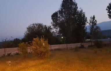 زمین شهرکی رو به جنگل با سند تک برگ شخصی داخل بافت