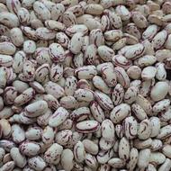لوبیا چیتی درجه یک