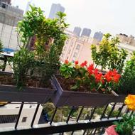 خدماتباغبانی هرسکاری سمپاشی رسیدگی گل آپارتمانی