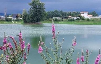 زمین قابل ساخت دور دریاچه 120متری درآپادانا