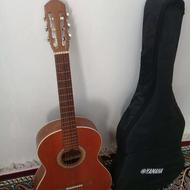 گیتار پارسی m6 2021با کاور زیر قیمت همه