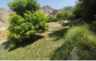زمین کشاورزی موتور آب میخام