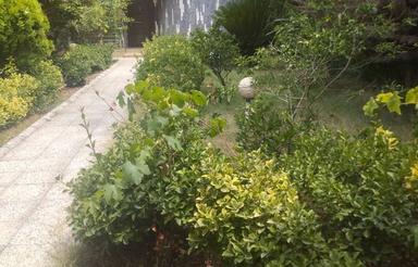 رهن و اجاره ویلا شهرکی