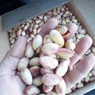 پسته درجه یک عباسعلی دامغان