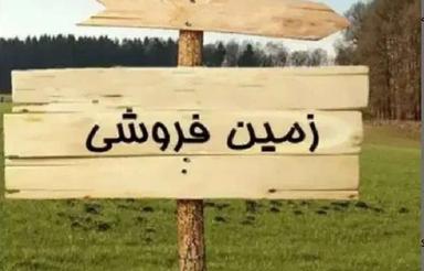فروش 1415 متر زمین کشاورزی/ باغ