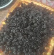 تمشک تازه چین